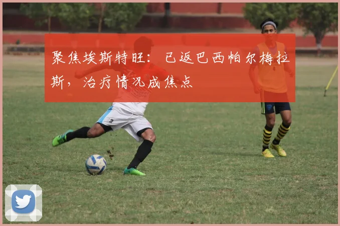 聚焦埃斯特旺：已返巴西帕尔梅拉斯，治疗情况成焦点